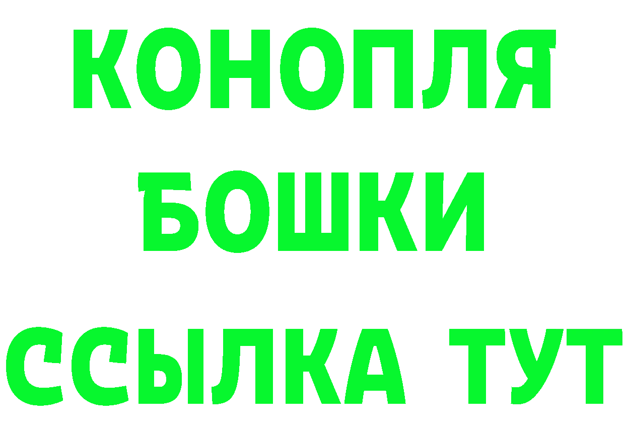 ГАШ 40% ТГК маркетплейс площадка МЕГА Шенкурск